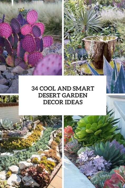 cool and smart desert garden decor ideas cover Texas Outdoor Patio Ideas, Desert Landscaping Plans Layout, Front Yard Cactus Garden, Desert Shade Plants, Arizona Succulent Garden, Cactus Patio Decor, Arizona Desert Garden, New Mexico Backyard Ideas, Cactus Garden Outdoor Landscape Design