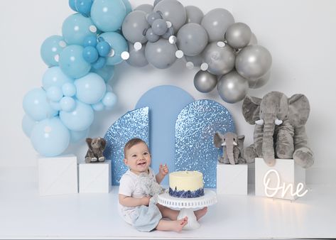 Elephant cake smash, First Birthday, blue and grey, ONE Baby Boy Cake Smash, Halloween Minis, Elephant Baby Boy, Elephant Cake, 1 Year Baby, Baby Backdrop, 1st Birthday Pictures, Elephant Cakes, Smash Cake Boy