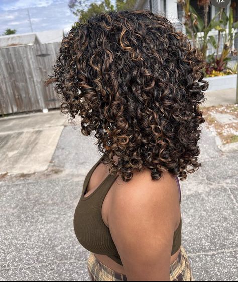 Black Woman With Highlights, Lowlights For Brown Hair Curly, 2b Curly Hair Color Ideas, Curly Hair Brown Lowlights, Highlight Curly Hair Black Women, Dark Honey Brown Hair With Highlights, Brown Pintura Highlights Curly Hair, Expensive Brunette Curly Hair, Mocha Brown Curly Hair