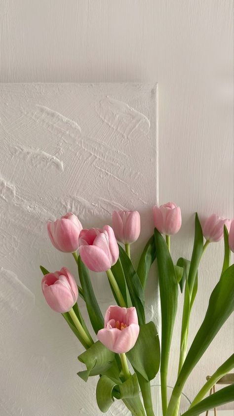 Cute Wallpaper Backgrounds Flowers, Pink Wallpaper Tulips, Pink Tulip Aesthetic, Background Aesthetic Flowers, Wallpaper Tulips Aesthetic, Ipad Wallpaper Flowers, Wallpaper Bunga Aesthetic, Pink Tulip Wallpaper, Tulips Lockscreen