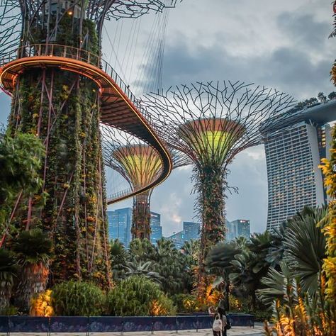 Amorphous - Ambience Over Time by enigmatic | Mixcloud Futuristic Garden, Singapore Skyline, Singapore Botanic Gardens, Singapore Art, Indoor Waterfall, Sands Hotel, Bel Art, Gardens By The Bay, Skyline Art