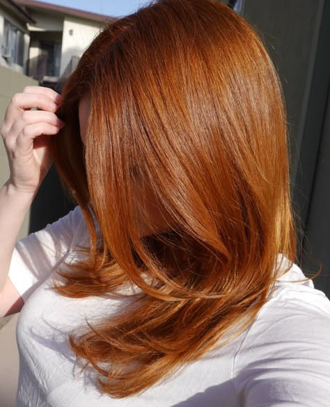 stunning colour! 7.34 inoa apparently! Copper Hair Dye, Light Copper Hair, Dark Strawberry Blonde Hair, Blonde Hair At Home, Blonde Hair Colour, Copper Blonde Hair Color, Dark Strawberry Blonde, Copper Blonde Hair, Hair Color Pictures