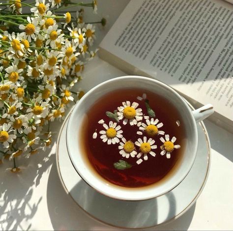 Cottage Core Recipes, Tea Stickers, Chamomile Seeds, Medicinal Garden, Spring Tea, Garden Kit, Tea Brands, Pretty Drinks, Chamomile Tea