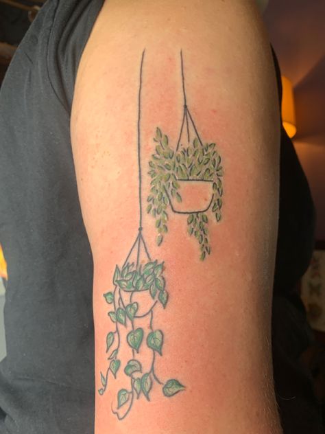 Hanging plants with color Hang Tattoo Women, Simplistic Plant Tattoo, Tattoos Of Plants, Tattoo Round Arm, Simple Plant Tattoos For Women, Trailing Plant Tattoo, Plant In A Pot Tattoo, Plant Neck Tattoo, Hanging Plants Tattoo