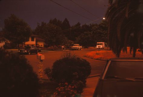 Fresno, California, 1985. Fresno Aesthetic, California Gothic, California Halloween, Spooky Summer, Pumpkin Guts, Western Gothic, Aesthetic Dump, Miss California, Dry Land