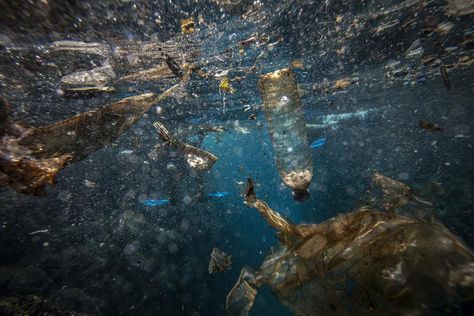 Nets, Plastic, Underwater Crime – How To Stop Ocean Pollution Stop Plastic Pollution, The Plastics, Fish Activities, Marine Pollution, Ocean Pollution, Sustainable Supply Chain, Plastic Industry, Marine Environment, Ocean Fishing