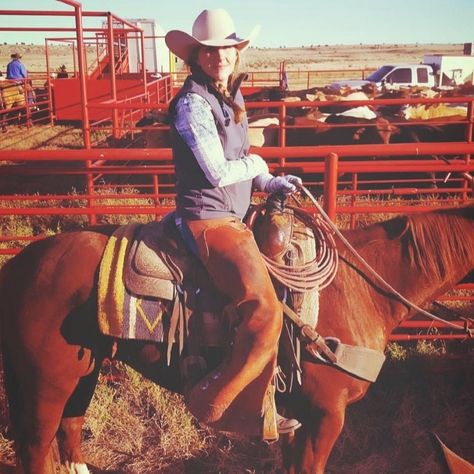 Ranch Cooking: Recipes From Some of the Best Ranch Wives Around - AQHA Tenderized Round Steak, Banana Pudding Ingredients, Beer Bread Easy, Cowboy Steak, Baked Steak, Lite Beer, Ranch Recipe, Round Steak, Banana Chocolate Chip Muffins