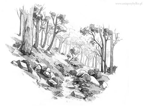 ArtStation - Nature, Ania Przybylko Croquis Architecture, Landscape Pencil Drawings, Nature Sketch, Tree Sketches, Landscape Sketch, Landscape Concept, Black And White Painting, Landscape Drawings, Art Prompts