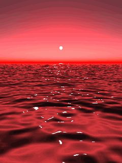 De-NILE IS NOT an EXCUSE ... NOW is the TIME for SALVATION ... Pixel Kawaii, Girl Animation, I See Red, Red Sunset, Rainbow Aesthetic, Photo Wall Collage, Red Sky, Red Wallpaper, Aesthetic Colors