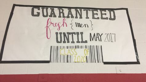 freshman poster! Freshmen Orientation Posters, Freshman Volleyball Banner Ideas, Freshman Spirit Posters, Freshman Class Signs, Freshman Class Banner Ideas, Freshman Banner Ideas, Freshman Class Posters, Class Signs Pep Rally Freshman, Welcome Freshman Posters