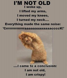 Quotes Funny Life, Movies Quotes, Haiwan Peliharaan, Funny Quotes About Life, E Card, Funny Animal Pictures, Bones Funny, Morning Quotes, Good Morning Quotes