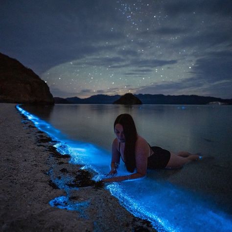 EARTH FOCUS on Instagram: “I’ve never seen anything this crazy! Baja Sur beach, Mexico. This is “Bioluminescent phytoplankton” Photos/videos by @moonmountainman…” Bioluminescent Plankton, Incredible Photography, Mexico Summer, Japan Lifestyle, Popular Photography, Venice Travel, Baja California Sur, Photographers Life, Destination Voyage