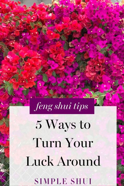 want to learn 5 ways to turn your luck around? in this blog from feng shui experts Simple Shui, we are sharing 5 feng shui tips for good luck. head to the blog to get our easy tips for good luck. #fengshui #fengshuigoodluck Feng Shui House Layout, Feng Shui Health, Feng Shui Front Door, Feng Shui Good Luck, Feng Shui Basics, Front Door Lighting, Bagua Map, Feng Shui House, Feng Shui Tips