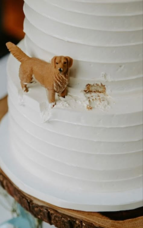 Wedding Cake With Puppy, Dog Theme Wedding Cake, Dog Incorporated In Wedding Cake, Puppy Wedding Cake, Golden Retriever On Wedding Cake, Dogs Eating Wedding Cake, Dog Figure Eating Wedding Cake, Dogs Wedding Cake, Wedding Cake Golden Retriever