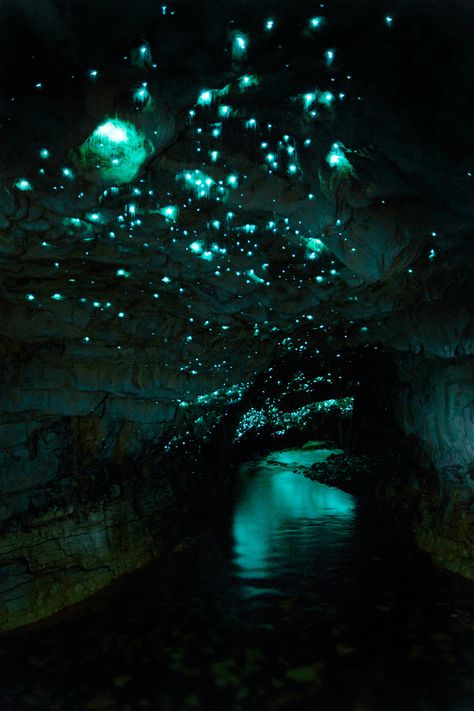 CUL_Uncharted_Nature_10 Sztuka Science Fiction, Waitomo Caves, Terra Nova, Beautiful Places In The World, Travel Bucket List, Travel Bucket, Most Beautiful Places, Writing Inspiration, Travel Ideas