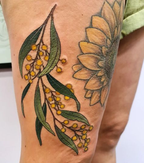 Australian Indigenous Tattoo Ideas, Acacia Tattoo, Yellow Wattle Tattoo, Wattle Tattoo, Native Australian Flowers Tattoo, Australian Native Plants Tattoo, Golden Wattle Tattoo, Australian Native Bee Tattoo, Wattle Tattoo Australian