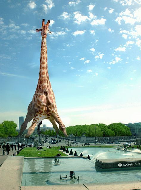 Giraffe Pictures, Giraffe Decor, Giraffe Art, A Giraffe, Cute Giraffe, Montage Photo, The Eiffel Tower, Funny Animal Pictures, Surreal Art