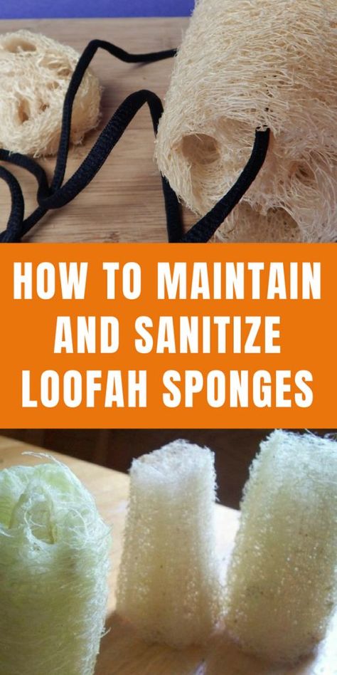 Savon Diy, Natural Loofah, Loofah Soap, Loofah Sponge, Room Garden, Garden Plans, Garden Design Ideas, Homemade Soap Recipes, Homemade Bath Products