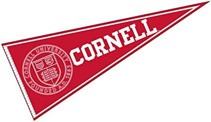 Flags & Banners Co. Cornell University ... College Banner, College Flags, Minecraft Banner Designs, Free Business Card Templates, Teacher Templates, School Banner, Welcome Banner, Free Invitation Templates, Felt Pennants