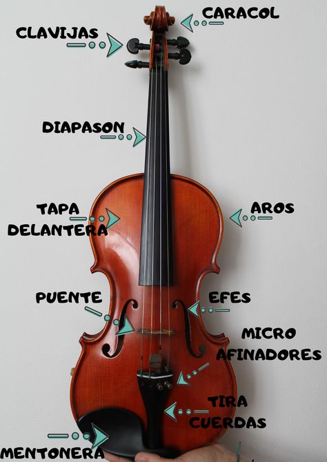 Conoce el violín para que puedas elegir el mejor para ti Anastasia Music Box, Teaching Orchestra, Violin Tutorial, Alto Saxophone Sheet Music, Violin Teacher, Music Theory Lessons, Clarinet Music, Saxophone Sheet Music, Violin Lessons