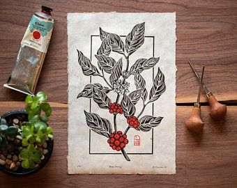 Lokta Paper, Vintage Inspired Art, Coffee Plant, Linocut Art, Pencil And Paper, Vintage Typography, Plant Print, Linocut Prints, Red Berries