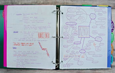 15 Top Tips to an Organized College Binder - The Olden Chapters Desk Organisation Student, College Organization Binder, School Organization College, Organizing Kids Books, Binder Inspiration, College Binder, Nursery Organization Diy, Teacher Binder Organization, Staedtler Triplus Fineliner Pens