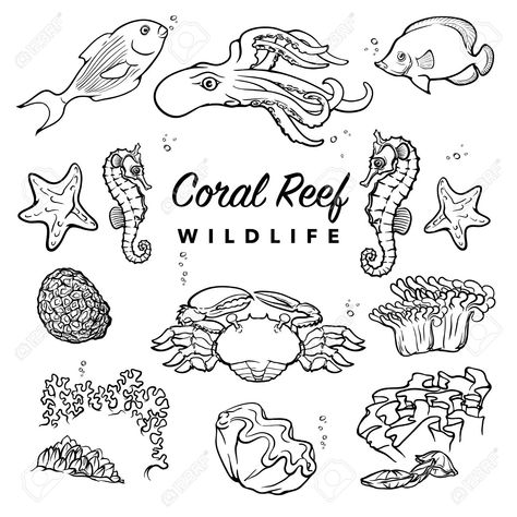 Drawing Sheets For Kids, Coral Reef Animals, Coral Reef Drawing, Sea Turtle Artwork, Coral Drawing, Sea Creatures Drawing, Coral Reef Art, Life Sketch, Silhouette Drawing