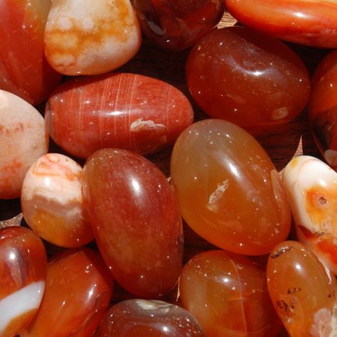 Natural Carnelian agate crystal tumbled stones from Madagascar.These Carnelian crystal tumbled stones are available in the following sizes:Small: .5 to .75 inchMedium: .75 to 1 inchesLarge: 1 to 1.25 inchesCarnelian is a Stone of Creativity. Stimulates inherent talents, bolsters courage. Excellent stone for public speaking. In confers eloquence and confidence. Assists in theatrical pursuits. Protects against envy, fear, and doubt. Stimulates libido.Chakra: Sacral ❤︎ Follow us on Instagram to kee Carnelian Stone Aesthetic, Carnillean Crystal, Carnelian Aesthetic, Gemstones Aesthetic, Crystal Carnelian, Crystals Aesthetic, Tumbled Crystals, Carnelian Agate, Collage Art Projects