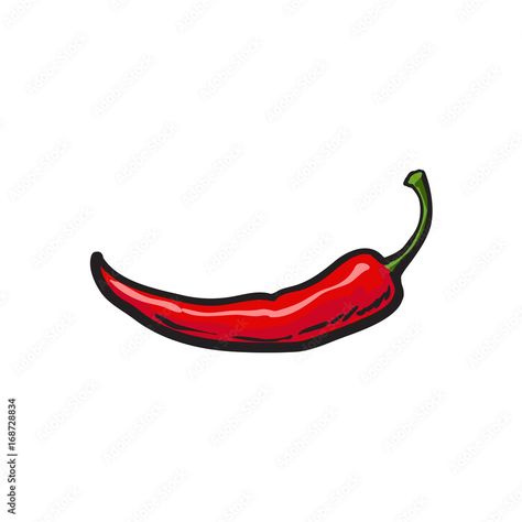 Red Chilli Tattoo Fine Line, Chilli Tattoo Ideas, Red Chili Tattoo, Chili Pepper Illustration, Red Pepper Drawing, Small Chili Pepper Tattoo, Red Chilli Tattoo, Chilli Pepper Drawing, Chilli Pepper Tattoo Small