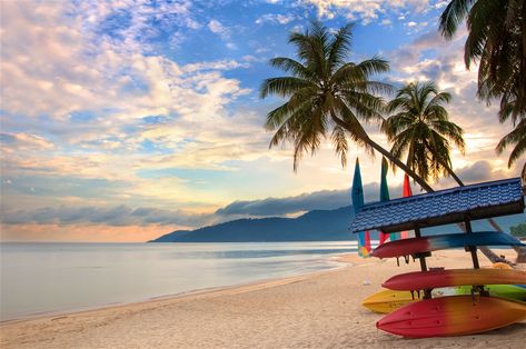 Explore Pulau Tioman holidays and discover the best time and places to visit. | Sitting like an emerald dragon guarding the translucent waters of the South China Sea, Tioman Island offers every possible shade of paradise. There's cascading waterfalls, rigorous jungle hikes that take you past hibiscus blooms under an evergreen canopy, and a wide range of laid-back villages facing onto idyllic beaches. And then there's the sea. That gorgeous sea of greens, blues and chartreuse swirls that beckons Malaysia Trip, Pulau Tioman, Malaysia Resorts, Tioman Island, Jungle Hike, Emerald Dragon, Malaysia Travel, South China Sea, Island Art