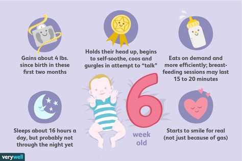 Your 6-Week-Old Baby: Development & Milestones 1 Month Baby Milestones, 2 Month Baby Milestones, 6 Weeks Old Baby, Milestones Quotes, Faint Positive Pregnancy Test, Baby Development Milestones, Baby Milestone Chart, 5 Month Old Baby, 1 Month Baby