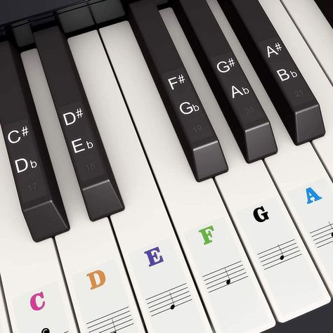 Reusable & Transparent】Made of high quality PVC eco-friendly material, transparent just like printed on keys, removable but won't leave any traces of glue and won't damage your keyboards.
🎹【Universal & Attentive】Includes 52 colorful stickers for white keys and 36 notes for black keys, total 88 stickers. Fansjoy keyboard stickers fit for the most pianos includes 37/49/54/61/88 keys. Piano Keys Labeled, Piano Notes For Beginners, Piano Keyboard Notes, Keyboard Noten, 61 Key Keyboard, Piano Music Lessons, Piano Notes, Keyboard Stickers, Piano Key