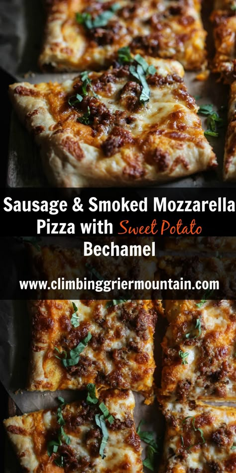 Sausage Smoked, Cooking Staples, Fall Pizza, Summer Pizza, Smoked Mozzarella, Pizza Oven Recipes, Mozzarella Pizza, Pizza Style, Best Pizza Dough