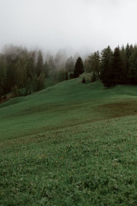 Grey sky and mist above woods · Free Stock Photo Dark Naturalism, Lockwood And Co, Forest Background, Forest Hill, Forest View, Forest Road, Galaxy Phone Wallpaper, Walk In The Woods, Adobe Photoshop Lightroom