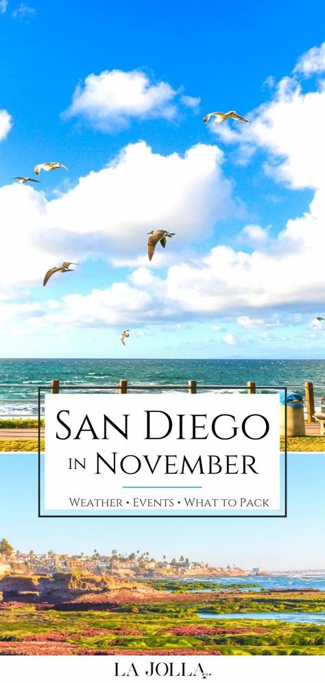 Learn what it's really like to visit San Diego in November. I live here and share tips for what to pack, weather, events, things to do, and hotel advice. Learn more here at La Jolla Mom San Diego November, Places To Go In San Diego, San Diego In November, San Diego Things To Do In, November Weather, Global Studies, San Diego Hotels, Seaworld San Diego, La Jolla San Diego