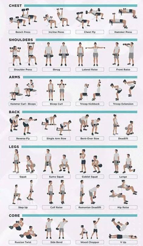 Gym Exercise Routines Workout Plans, Easy Gym Routine, Apartment Gym Workout, Gym Workout Schedule, Weekly Gym Workouts, Dumbbell Workout Plan, Workout Gym Routine, Full Body Dumbbell Workout, Gym Workout Plan For Women