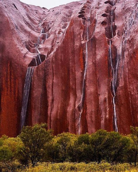 Australia Landscape, Rare Occasions, Outback Australia, Australian Travel, Natural Structures, Land Of Oz, Australia Fashion, Bad Picture, Northern Territory