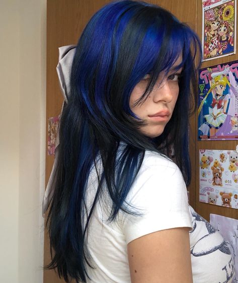 Skunk Hair, Haircut 2024, Dark Blue Hair, Hair Color Streaks, Dyed Hair Inspiration, Hair Streaks, Blue Highlights, Pretty Hair Color, Hair Stylies