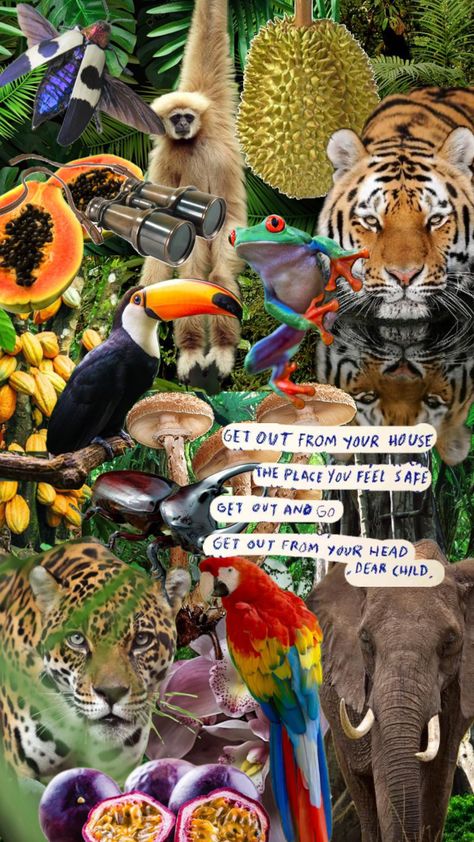 #jungle #rainforest Zoology, How Are You Feeling, Feelings, Nature