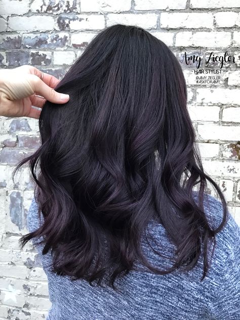 Deep dark brunette eggplant color by @amy_ziegler Eggplant Black Hair, Midnight Violet Black Hair Color, Black Violet Hair Color, Eggplant Hair Color Dark, Midnight Violet Black Hair, Blackberry Hair Color Dark, Eggplant Colored Hair, Eggplant Hair, Dark Violet Hair