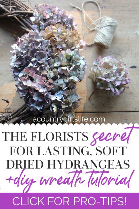 How To Dry Out Hydrangeas, Outdoor Wedding Flower Ideas, Drying Hydrangeas How To Tips, How To Press A Hydrangea, How To Dry Hydrangeas Diy, Dry Hydrangeas How To, How To Preserve Hydrangea Flowers, Preserving Flowers With Glycerin, Dried Hydrangea Wreath Diy