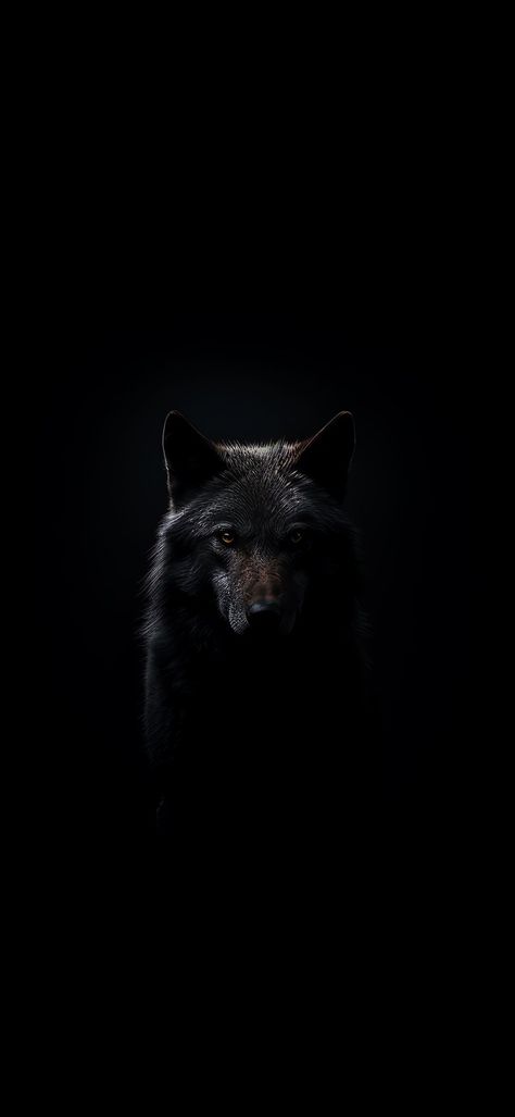 Wolf Wallpapers For Phone, Viking Wallpaper Iphone, Aesthetic Wolf Wallpaper, Wolf Wallpaper Dark, Dark Wolf Wallpaper, Dogs Aesthetic Dark, Wolf Wallpaper Aesthetic, Wolf Aesthetic Wallpaper, Black Wolf Wallpaper