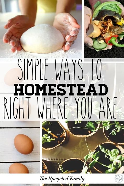 Are you wanting to be more self-reliant or even dream of homestead living but think it’s not possible because of where you live? Think again! Homesteading and self-reliance are on the rise try these 6 ways to more self-reliant wherever you are! #selfreliant #living #simple #howtomake #simpleliving #homesteading #life How To Start Homesteading Slowly, Tiny Homestead, Dream Homestead, Homesteading Life, Garden Critters, Weekly Savings, Living Simple, Homestead Life, Homesteading Ideas