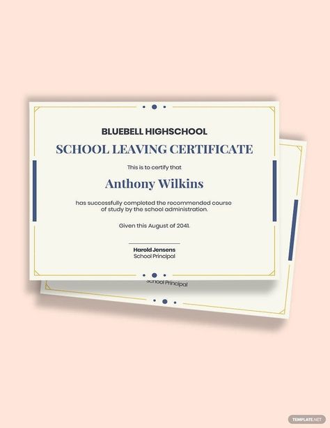 school leaving certificate Template School Leaving Certificate, Graduation Certificate Template, Certificate Format, Birth Certificate Template, Leaving School, Entry Level Jobs, School Template, Awards Certificates Template, Professional Powerpoint Templates