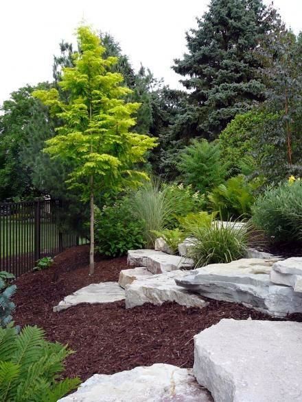 Top 70 Best Rock Landscaping Ideas - Boulder Designs Garden With Rocks, Large Yard Landscaping, Front Yards Curb Appeal, Pathway Landscaping, Front Landscaping, Rock Garden Landscaping, Large Yard, Landscaping Tips, Yard Design