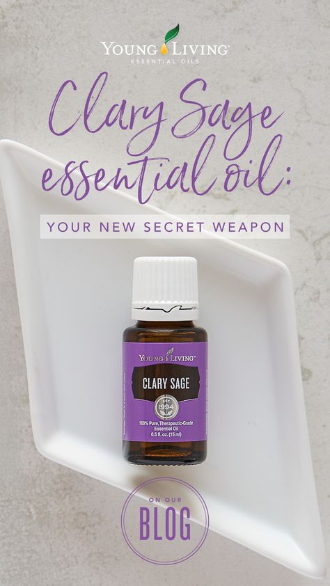 Young Living Products, Sclaressence Essential Oil Uses, Sage Essential Oil Benefits, Clary Sage Uses, Clary Sage Essential Oil Uses, How To Use Clary Sage Essential Oil, Clary Sage Roller Blends, Young Living Clary Sage, Clary Sage Essential Oil Benefits