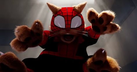 The Spot Marvel, Spider Cat, All Spiderman, Spider Man Across The Spider Verse, Scarlet Spider, Jake Johnson, Spider Monkey, Across The Spider Verse, Funny Cat Photos