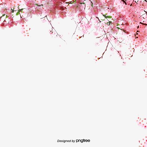 Cherry Blossom Border, Cherry Clipart, Cherry Png, Flower Border Clipart, Plant Clipart, Spring Png, Frame Flower, Border Clipart, Spring Clipart