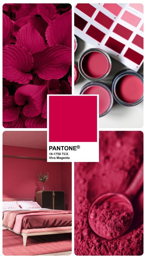 Viva Magenta Color Collage Pantone Viva Magenta 2023, Color Pallets Aesthetic, 2023 Color Of The Year, Pink Painted Walls, Summer Color Palettes, Pantone Trends, Pantone Palette, 2023 Color, Viva Magenta