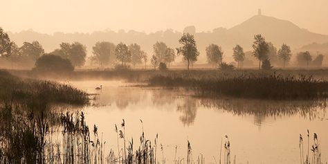 SomersetLevels Dynamic Shots, Glastonbury Abbey, Somerset Levels, Mists Of Avalon, Uk Places, Glastonbury Tor, Somerset England, English Countryside, Dragon Age